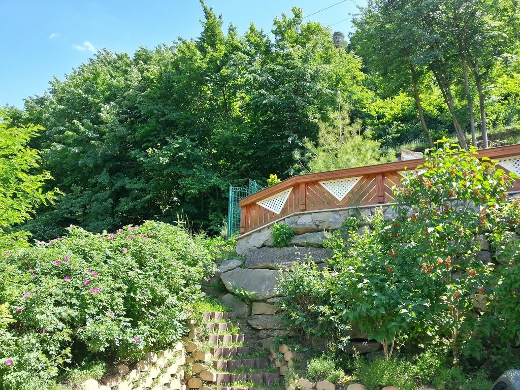 Gastehaus Zur Schonen Aussicht Bed & Breakfast Spitz an der Donau Екстериор снимка