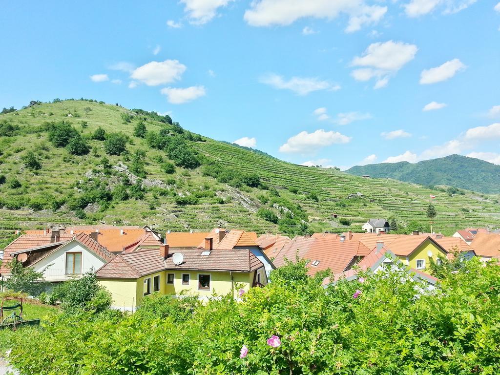 Gastehaus Zur Schonen Aussicht Bed & Breakfast Spitz an der Donau Екстериор снимка